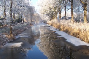 Zimowy krajobraz z zamarzniętą rzeką i drzewami w śniegu