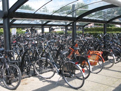 Duża ilość rowerów zaparkowanych pod wiatą