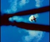 Pokaz akrobatyczny samolotu (photo)