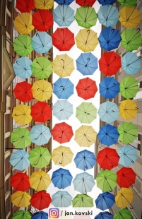 Parasolki nad ulicą Bracką (photo)