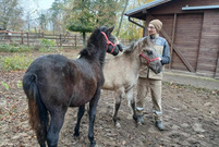 Nowi mieszkańcy w w Mini Zoo w Lesznie