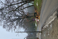 Dojazd do osiedla Na Skarpie będzie możliwy przez specjalnie wykonany przekop w wale ziemnym