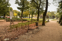 Dzięki dofinansowaniu w parku Jonstona zamontowane zostanie nowoczesne  oświetlenie 