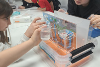 Z miejskiej oferty skorzystały setki dzieci