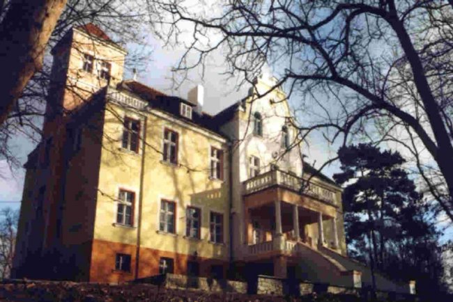 Palace in Wiosław 