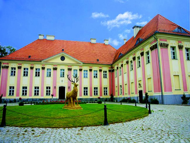 Palace in Trzebosz