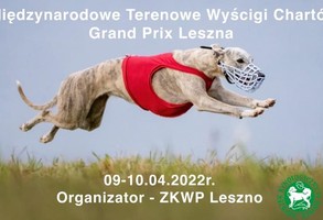 Międzynarodowe Wyścigi Chartów Grand Prix Leszna