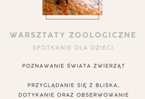 KONCEPT animacyjny - warsztaty zoologiczne dla dzieci