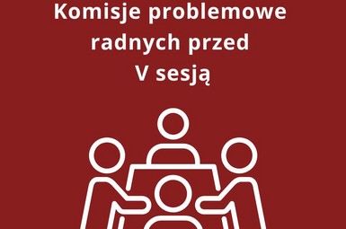 Komisje problemowe radnych przed sesją