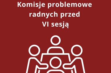 Komisje problemowe radnych przed VI sesją