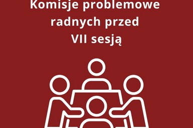 Komisje problemowe radnych przed VII sesją