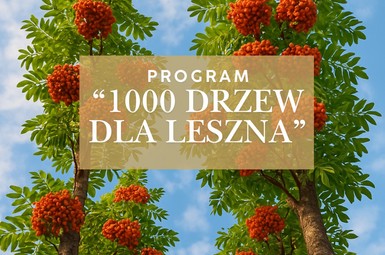 Leszno coraz bardziej zielone- Miasto i C&C Partners wspólnie sadzą drzewa