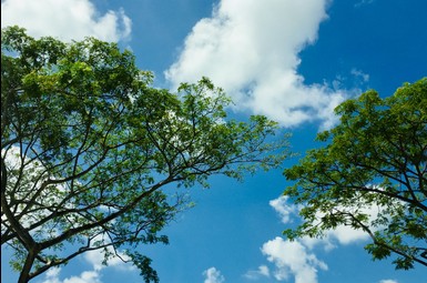 Aktualizacja Programu ochrony powietrza dla strefy wielkopolskiej